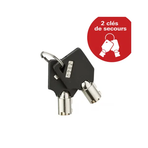 Coffret de sécurité à poser Vincennes, fermeture électronique à code, 2 pênes, 16.5L - THIRARD