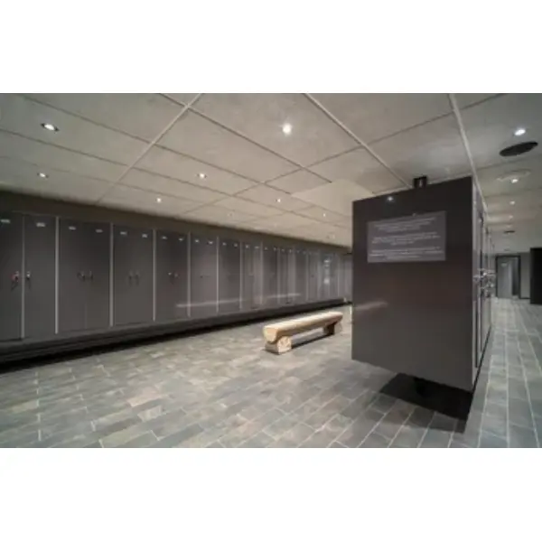 DALLE PLAFOND KARDIGAN CEWOOD 1195X595X25MM