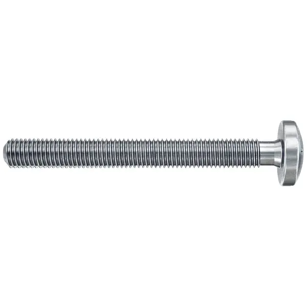 Lot de 4 chevilles murale avec vis DuoHM FISCHER, Diam.4 x L.55 mm - FISCHER