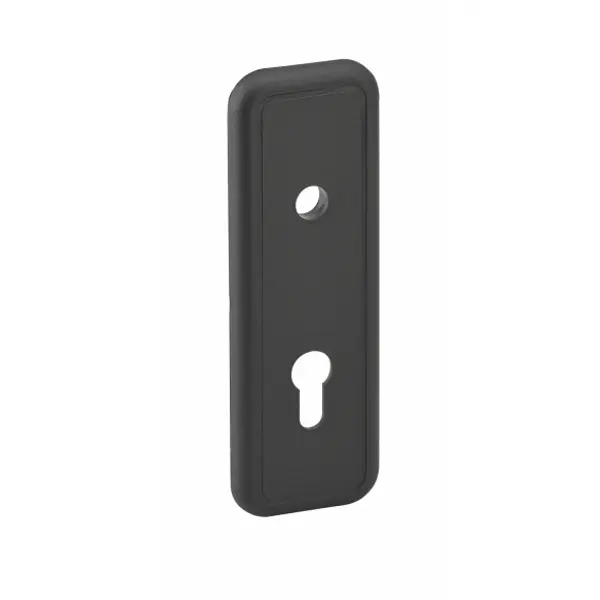 Plaque de propreté, 186x62mm, noir - THIRARD