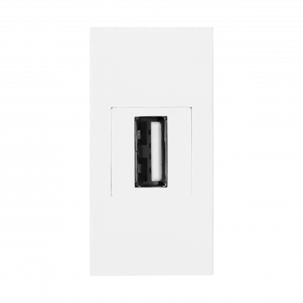 Prise USB Data demi module 45x45 pour goulotte appareillable - Blanc - Connexion à vis