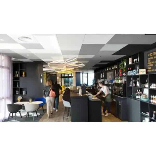 Dalle plafond Color All Charcoal - panneau 120 x 60 cm - ép. 20 mm - Bords droits A15/A24