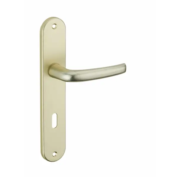 Ensemble de poignées pour porte intérieure Maia trou de clé, carré 7mm, entr'axes 195mm, couleur F2 - THIRARD