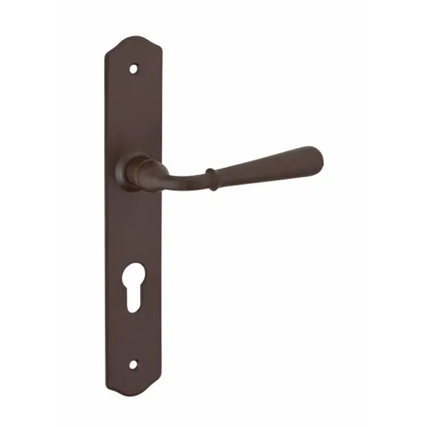 Ensemble de poignées pour porte d'entrée Charon trou de cylindre, carré 7mm, entr'axes 195mm, acier rouillé - THIRARD