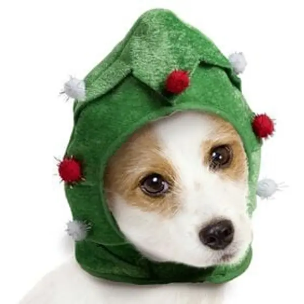 Chapeau pour chien sapin de Noël