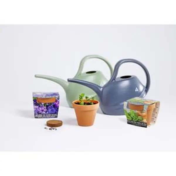 Pot terre cuite culture menthe avec graines et terreau H8.5cm