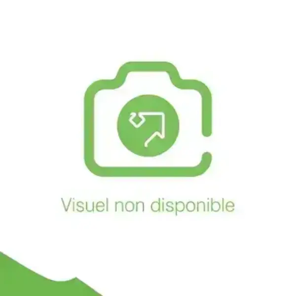 Leste plastique jaune 200g