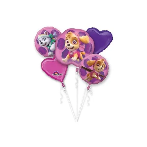 Bouquet Ballons Paw Patrol Skye & Everest 3482801