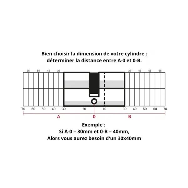 Cylindre de serrure à double entrée Trafic 6, 30x30mm, nickel, anti-arrachement, anti-perçage, 5 clés - THIRARD