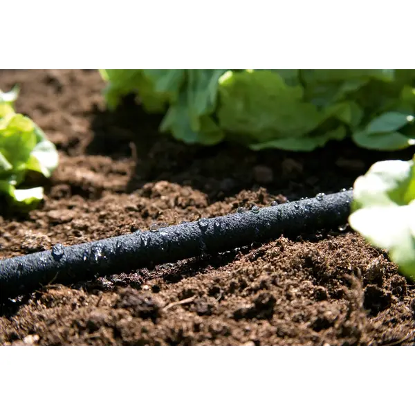 Tuyau d'arrosage micro-poreux 100 m non équipé - GARDENA
