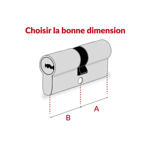 Cylindre de serrure double entrée Trafic 6, 30x70mm, nickel, anti-arrachement, anti-perçage, 5 clés - THIRARD