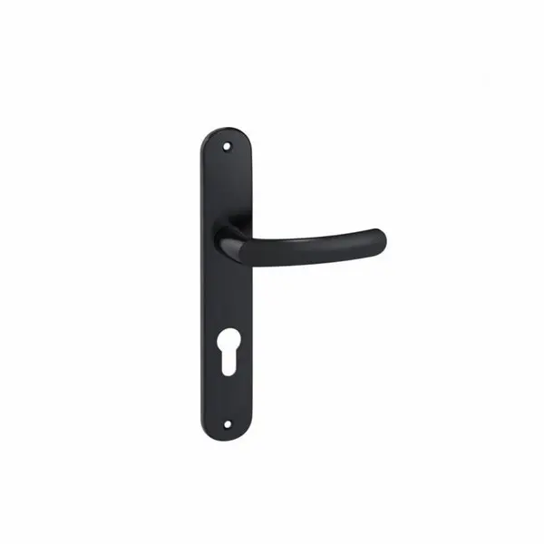 Ensemble de poignée porte BUDGET EA195 ONYX TCY noir entraxe 195 mm