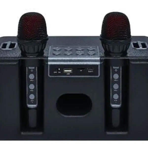 Enceinte karaoké 2 micros Homday Party