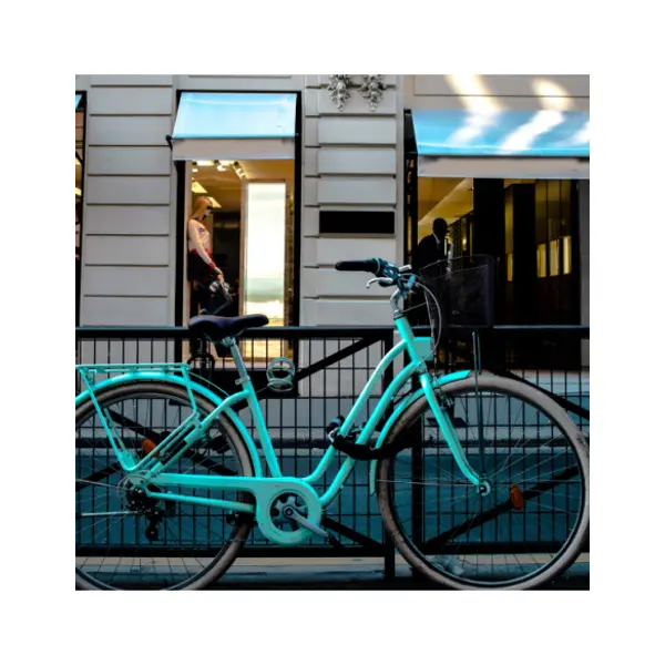 Chaîne acier gainé nylon Loops, vélo, moto, barrières, 1.5m, noir - THIRARD