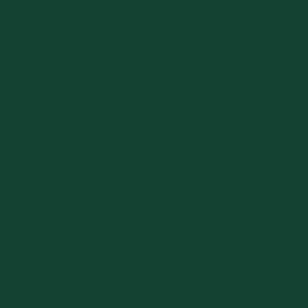 Peinture exterieure fer, aluminium Ultra protect SYNTILOR vert basque satine 2l - SYNTILOR