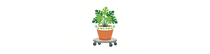 Roulebacjardin | Supports à roulettes et pots de jardin